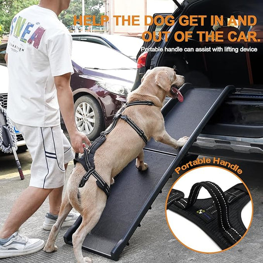 COODEO Professional Dog Sling for Hind Leg Support - Aid for Post-ACL/TPLO Surgery & Senior Dogs, Secure,Breathable & Machine-Washable with Reflective Edging for Safe Walks (Black, XL)