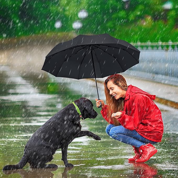 ZOMAKE Travel Umbrella Compact - 10 Ribs Portable Collapsible Umbrellas for Rain Windproof - Paraguas Automatic Small Folding Umbrella Lightweight Packable Umbrella for Women Men