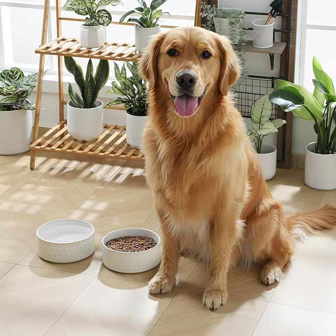 MALACASA Ceramic Dog Food Bowl, 6 Cups or 54 oz Dog Food Water Dish for Large Breeds, Pet Bowl Dishwasher & Microwave Safe, Honeycomb, Series Lydia