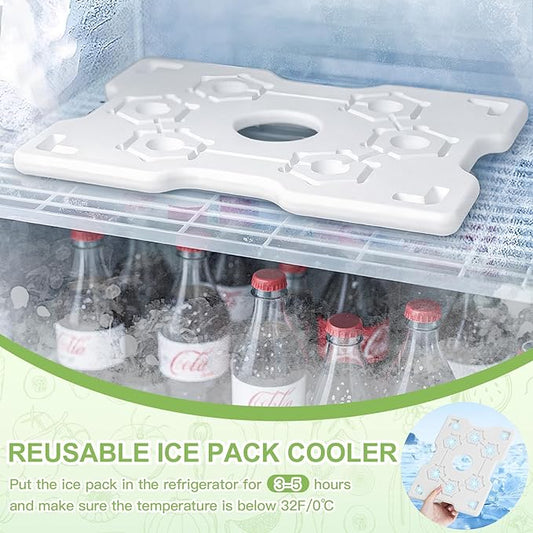 Snackle Box Container with Ice Pack, Bonus Insulated Bag Charcoolerie Chilled Portable Serving Tray with Lid and Handle,8 Compartment Snack Container for Charcuterie Snack Road Trip Picnic