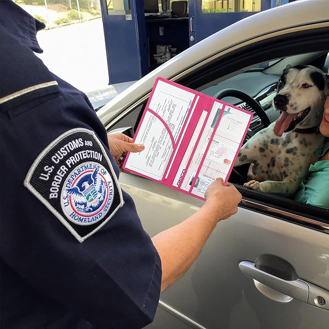 Premium Car Registration & Insurance Card Holder with Magnetic Shut, Vehicle Glove Box Car Organizer - For Documents, Cards, License (Rose red)