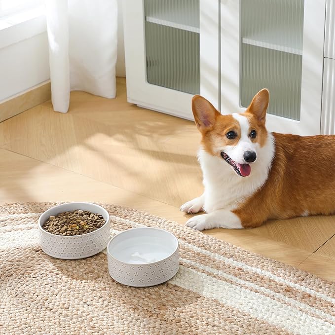 MALACASA Ceramic Dog Food Bowl, 3.5 Cups or 32oz Dog Food Water Dish for Mudium Breeds, Pet Bowl Dishwasher & Microwave Safe, Five-Leaf Grass, Series Lydia