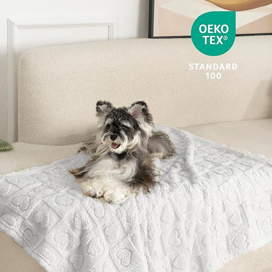 gogobunny Calming Plush Dog Cat Blanket 300GSM Coral Fleece, Ultra-Soft Machine Washable Pet Bedding for Small Medium Dogs Cats Puppies Kittens (Silver, 30x40)