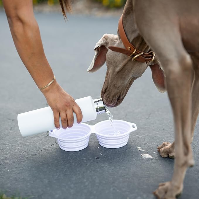 Pup Culture Dual Collapsible Dog Bowls | Silicone Travel Water Bowl for Dogs | Food Grade, No Plastic Rim, Portable Dog Bowl for Food and Water - Easy to Clean | BPA Free and Safe for Your Pup-Grey