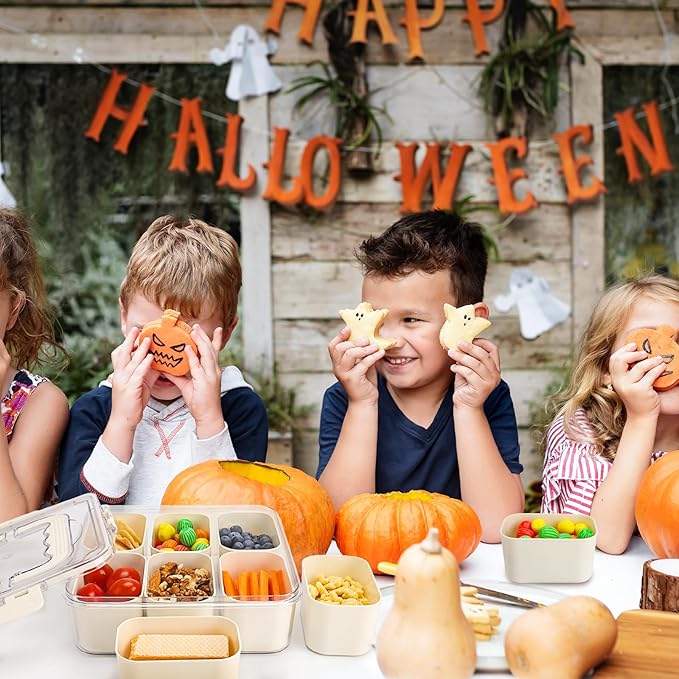 SMALL Divided Serving Tray with Lid and Handle, Portable Snack Box Container, 6 Compartments Veggie Fruit Snackle Tray, Charcuterie Platter Container for Party, Nuts, Snacks, Picnic,2 Pack, SMALL SIZE