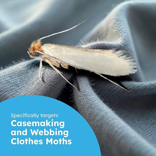 BugMD Clothes & Pantry Moth Traps (6 Count) – Sticky Glue Pheromone-Based Repellent for Closets, Cabinets & Wardrobes – Non-Toxic - Black