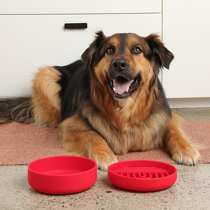 Should We Go? Dog Water Bowl - The Perfect Dish No-Spill Less Mess Non-Tippable Water & Food Bowl, Pure Silicone with Suction Cup Fits 5 Cups 7.5" Across x 2.25" Tall Ideal for All Pets, Medium-Cherry
