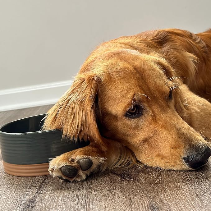 Mora Ceramic Pet Bowl Size Medium - Food/Water Dish for Large Puppies, Cats, Retrievers, Medium Sized Dogs, ect. 28oz or 4 Cups - Basic Bowls for Your Dog or Cat, Mix and Match for a Set - Charcoal