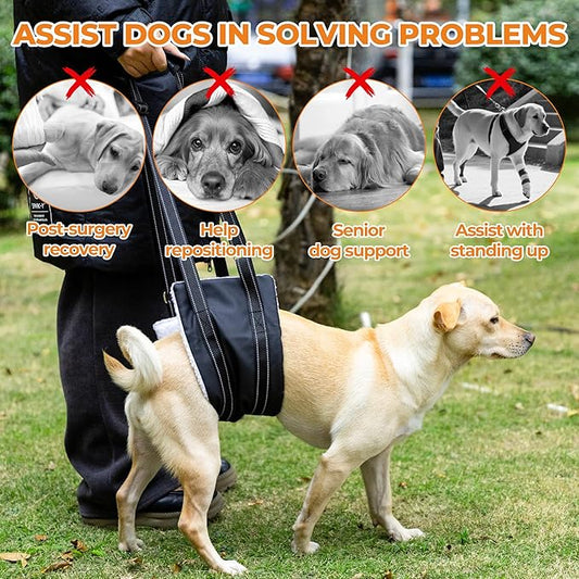 Jestrem Dog Lift Harness, Adjustable Comfortable Dog Sling with Handle for Large Dog Knee Brace for Torn ACL Hind Leg, Weak Rear Legs, Helps Senior, Injured, Disabled,M