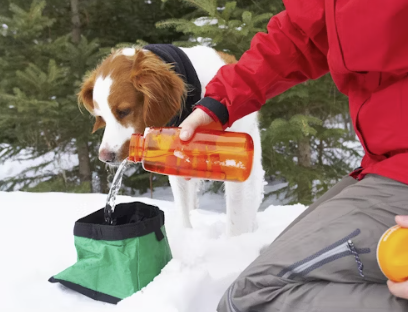 🥣 Travel Bowls & Water Bottles