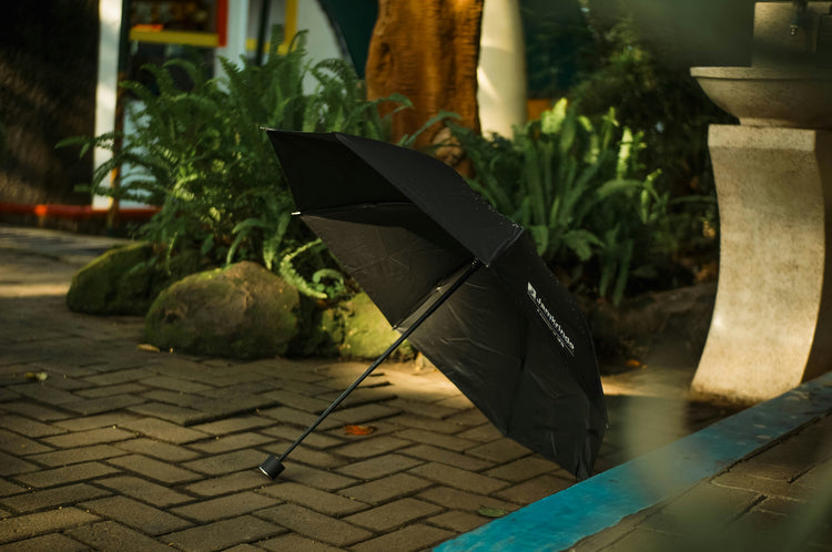☂️ Compact Umbrellas