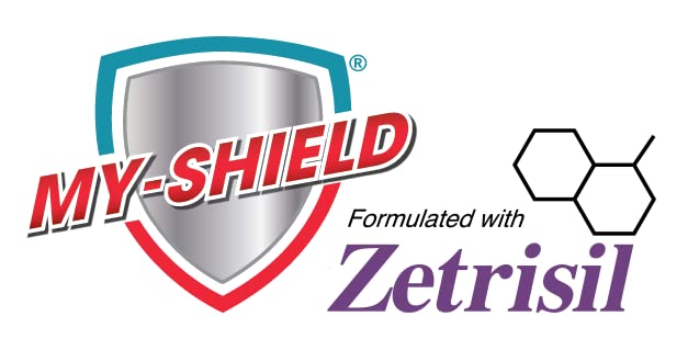 Sanitizing Hand Wipes - Travel Pack - 20 Count (4-pack) Alcohol-Free, Long-lasting Protection. Kills 99.9% of Germs. Moisturizes With Aloe Vera. Formulated with Zetrisil.