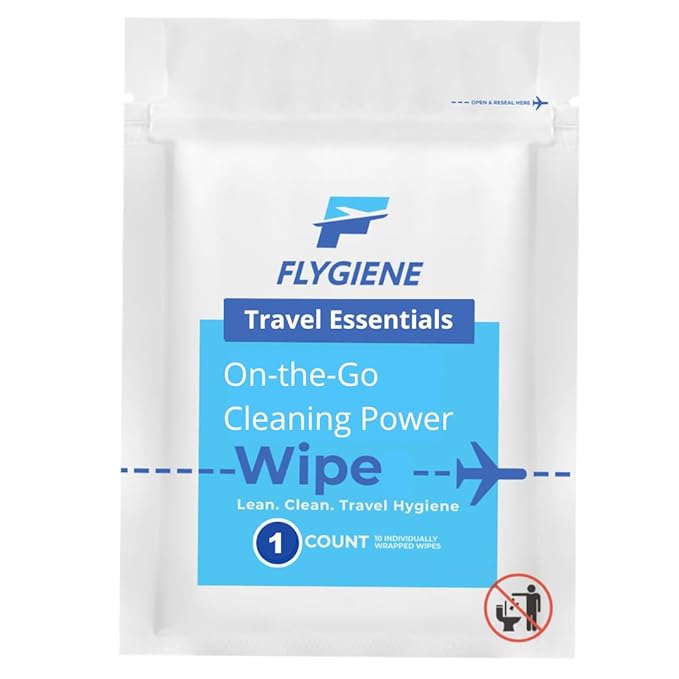 Travel Sanitizing Wipes (100 Count (100 individual wipes))