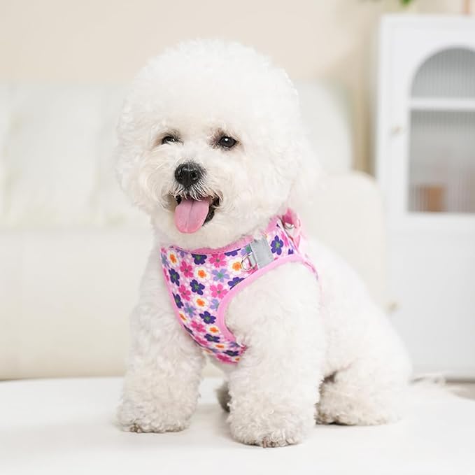Step in Dog Harness and Leash Set, Flower Adjustable Easy Walk Puppy Harnesses, Soft Mesh No Pull Pet Vest Harness for Small Medium Dogs(Flower, M)