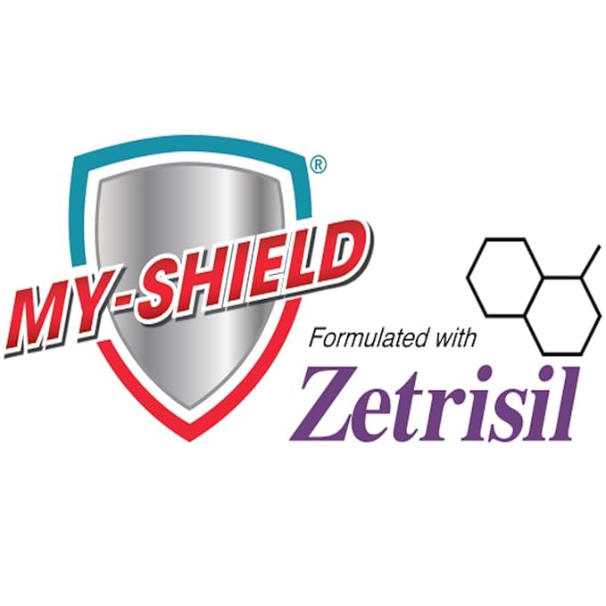 Sanitizing Hand Wipes - Travel Pack - 20 Count (4-pack) Alcohol-Free, Long-lasting Protection. Kills 99.9% of Germs. Moisturizes With Aloe Vera. Formulated with Zetrisil.