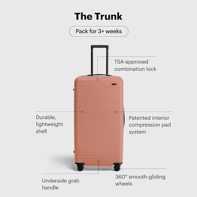 Away Large Trunk Luggage, 31 Inch Hardside Suitcase with Spinner Wheels, Lightweight & Durable, TSA Lock, Ideal for Long Trips, Clay Pink