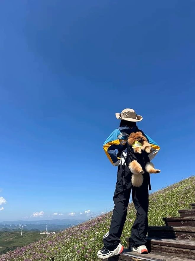 Pet Front Dog Carrier Backpacks, Adjustable Dog Backpack Carrier, Comfortable Shoulder Straps, Soft Sponge Cushion, Designed to Fit Pets, S Size, 2-7LB