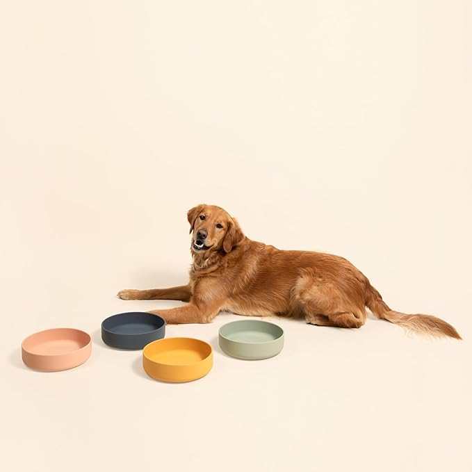Should We Go? Dog Water Bowl - The Perfect Dish No-Spill, Less Mess Non-Tippable Water & Food Bowl Pure Silicone with Suction Cup Fits 8 Cups 9.5" Across x 2.5" Tall Ideal for All Pets, Large-Charcoal