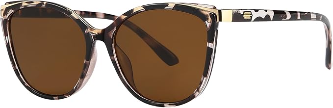 Trendy Cat Eye Sunglasses for Women Fashion Cateye UV400 Protection Glasses CL22017