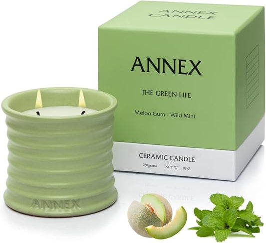 Scented Luxury Candles Outdoor Mosquito Bug Repellent Ceramic Jars, Soy Wax | The Green Life, Large Natural Candle - Green Melon & Peppermint | Non Toxic, 2 Wicks, Reusable Jar