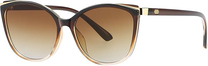 Trendy Cat Eye Sunglasses for Women Fashion Cateye UV400 Protection Glasses CL22017