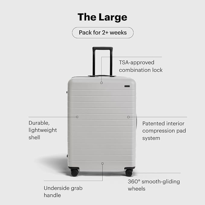 Away Large Checked Luggage, 29 Inch Hardside Suitcase with Spinner Wheels, Lightweight & Durable, TSA Lock, Cloud Gray