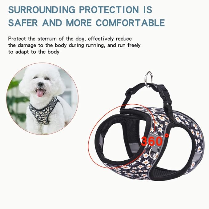 Step in Dog Harness and Leash Set, Flower Adjustable Easy Walk Puppy Harnesses, Soft Mesh No Pull Pet Vest Harness for Small Dogs and Cats(Daisy, XXS)