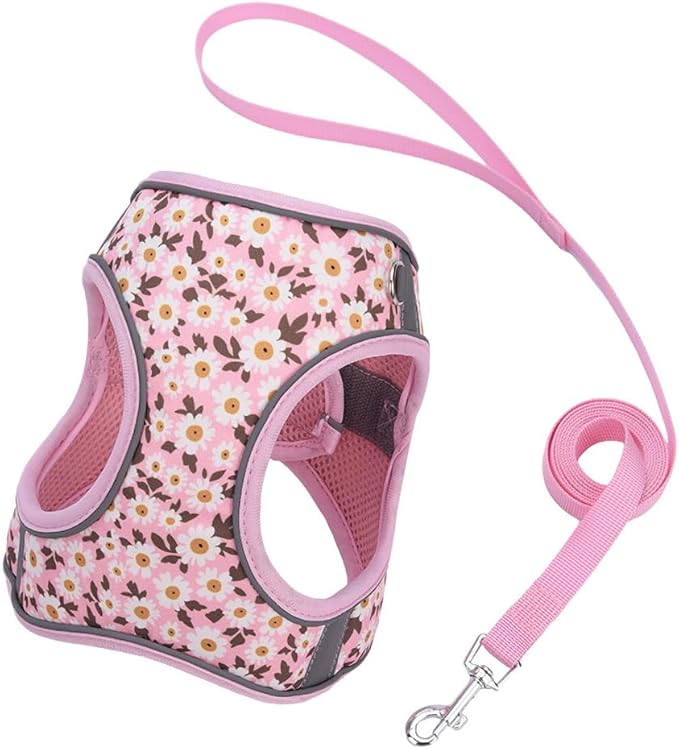 Step in Dog Harness and Leash Set, Flower Adjustable Easy Walk Puppy Harnesses, Soft Mesh No Pull Pet Vest Harness for Small Dogs and Cats(Daisy, XXS)