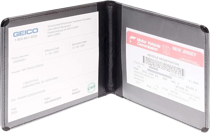 CANOPUS Car Registration & Insurance Holder with Magnetic Closure, Vehicle Document Organizer, Auto Glove Box Wallet, Includes 2 EZ Pass Strip Sets – Car