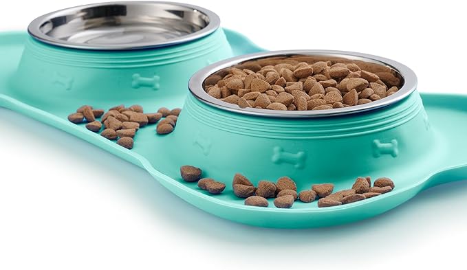 Hubulk Pet Dog Bowls 2 Stainless Steel Dog Bowl with No Spill Non-Skid Silicone Mat + Pet Food Scoop Water and Food Feeder Bowls for Feeding Small Medium Large Dogs Cats Puppies (Small, Mint Green)