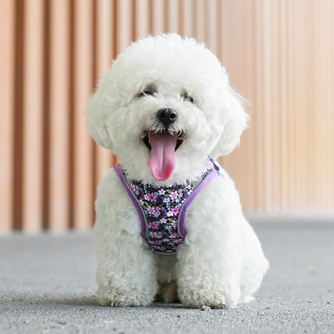 Flymind Step-in Dog Harness and Leash Set, Purple, Small/Medium, Floral Pattern, 360-Degree Reflective Design for Low Light Safety