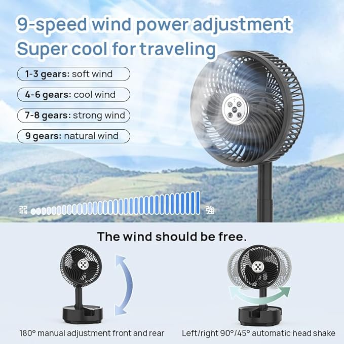 8 inch Portable Fan - Wireless Battery Operated Fan - LED Lighting - Carry Case & Remote Control - Cruise Travel - Outdoor Travel RV Power Bank With USB-C Port (Black with Case)