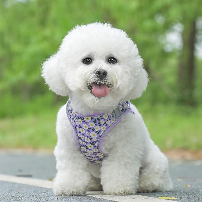 Step in Dog Harness and Leash Set, Flower Adjustable Easy Walk Puppy Harnesses, Soft Mesh No Pull Pet Vest Harness for Small Dogs and Cats(Daisy, XS)