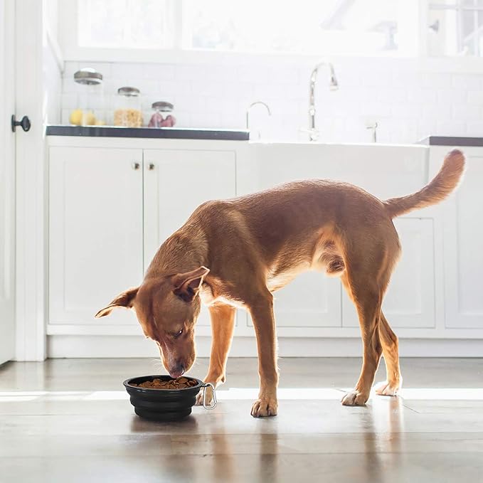Kytely Large Collapsible Dog Bowls 2 Pack, 34oz Foldable Dog Travel Bowl, Portable Pet Water Food Bowl with Clasp, Pet Cat Feeding Cup Dish for Traveling, Walking, Hiking (Black+Balck)