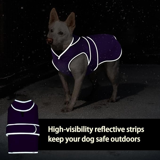 MIGOHI Reflective Dog Coat, Waterproof Winter Jacket, Fleece Lined, Small, Purple