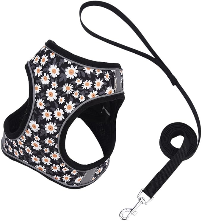 Step in Dog Harness and Leash Set, Flower Adjustable Easy Walk Puppy Harnesses, Soft Mesh No Pull Pet Vest Harness for Small Dogs and Cats(Daisy, XXS)