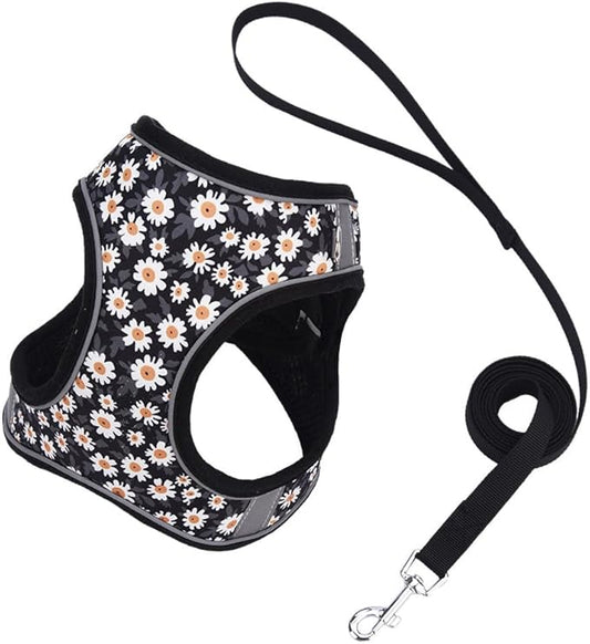 Step in Dog Harness and Leash Set, Flower Adjustable Easy Walk Puppy Harnesses, Soft Mesh No Pull Pet Vest Harness for Small Dogs and Cats(Daisy, XS)