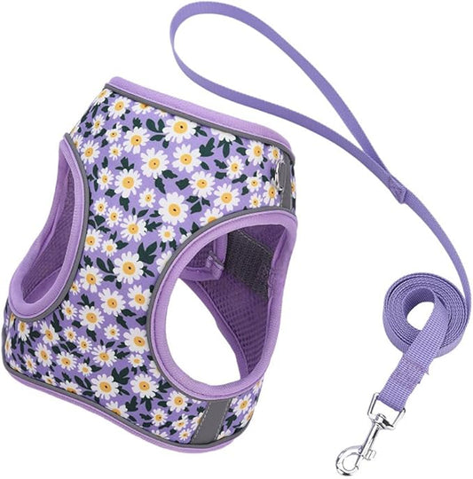 Step in Dog Harness and Leash Set, Flower Adjustable Easy Walk Puppy Harnesses, Soft Mesh No Pull Pet Vest Harness for Small Dogs and Cats(Daisy, XS)