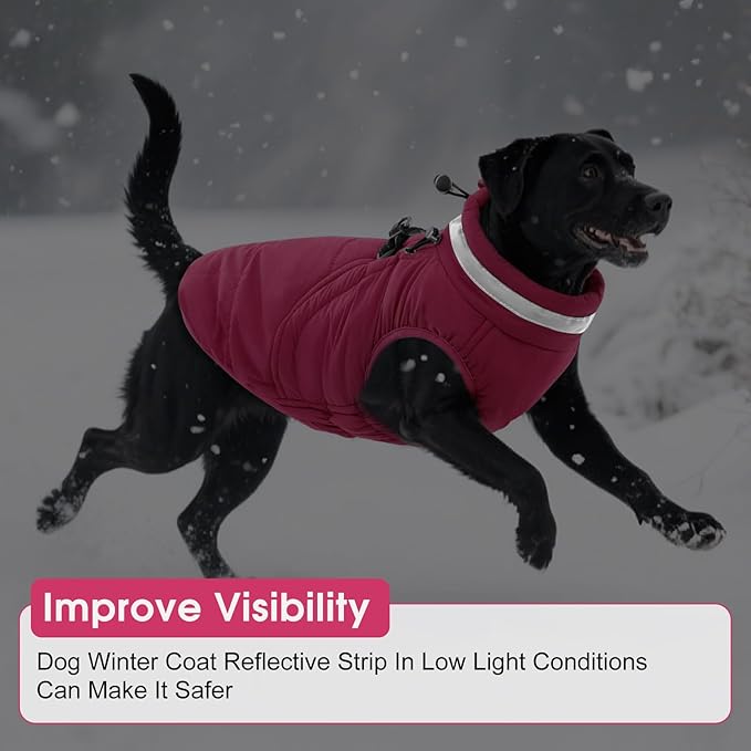SAWMONG Dog Coat, Warm Dog Winter Coat, Waterproof Fleece Jacket, Cold Weather Dogs Jacket (M,Rosered)