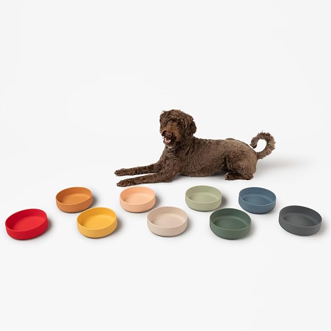 Should We Go? Dog Water Bowl - The Perfect Dish No-Spill Less Mess Non-Tippable Water & Food Bowl, Pure Silicone with Suction Cup Fits 5 Cups 7.5" Across x 2.25" Tall Ideal for All Pets, Medium-Cherry