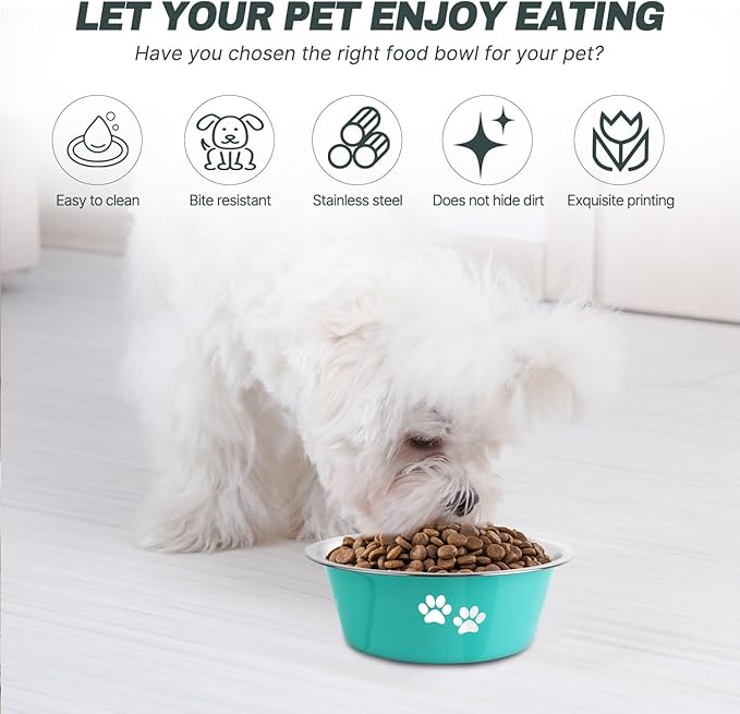 Stainless Steel Dog Bowls 2 Pack Small Medium Dogs Feeding Food Water Bowl with Non-Slip Silicone Sole, Stainless Steel Dog Dishes Elevated Raised Pet Feeder(Green+Grey, M(3.6 Cups)