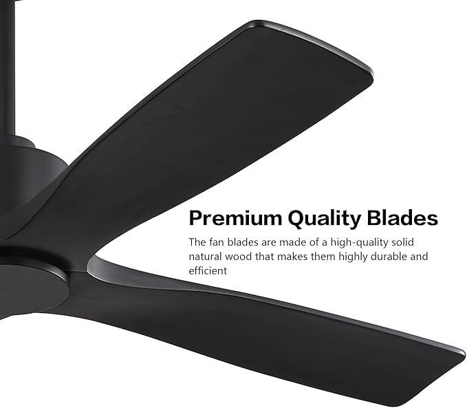 WINGBO 48" DC Ceiling Fan without Lights, 4 Carved Solid Wood Blades, 6-Speed Noiseless Reversible DC Motor, Modern Ceiling Fan No Light with Remote, Matte Black Finish with Black Blades, ETL Listed