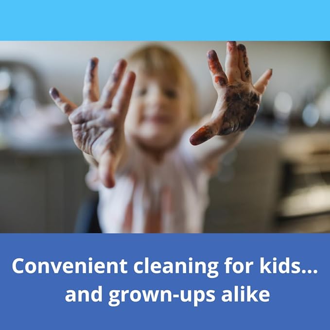 Travel Sanitizing Wipes (100 Count (100 individual wipes))