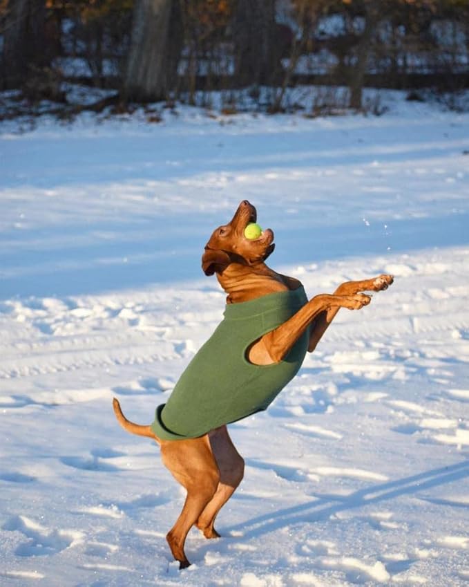 Gooby Stretch Fleece Vest Dog Sweater - Indigo Blue, 5X-Large - Warm Pullover Super Stretchy Fleece Dog Jacket for Small to Large Dogs
