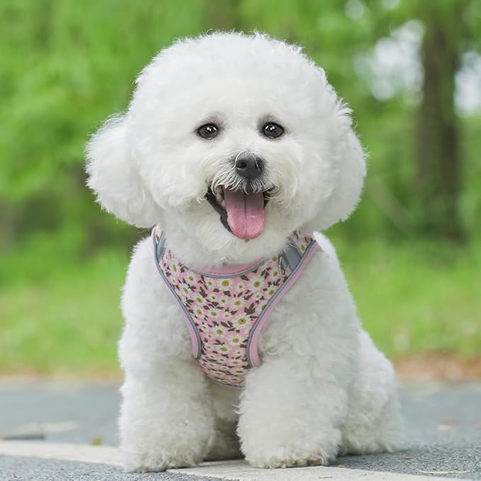 Step in Dog Harness and Leash Set, Flower Adjustable Easy Walk Puppy Harnesses, Soft Mesh No Pull Pet Vest Harness for Small Medium Dogs(Daisy, S)