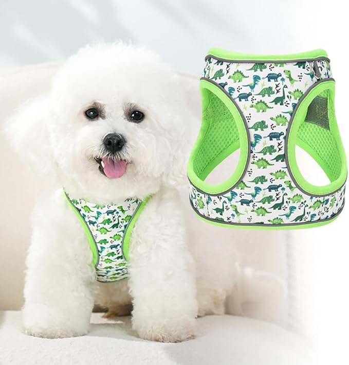 Step in Dog Harness and Leash Set, Flower Adjustable Easy Walk Puppy Harnesses, Soft Mesh Pet Vest Harness Small Size Dog Adjustable No Pull Dog Harness for Small Dogs and Cats(Dinosaur1, XXS)
