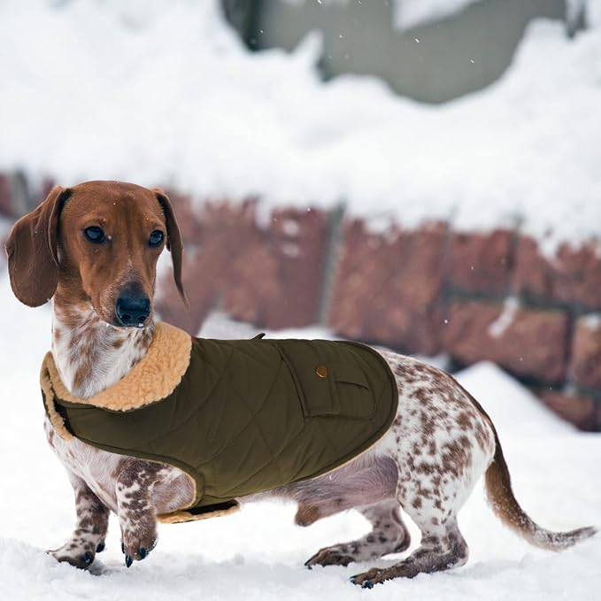 Queenmore Warm Dog Coat, Cold Weather Puffer Dog Jacket with Ultra Thick Plush Lining, Storage Pockets (Green, Small)