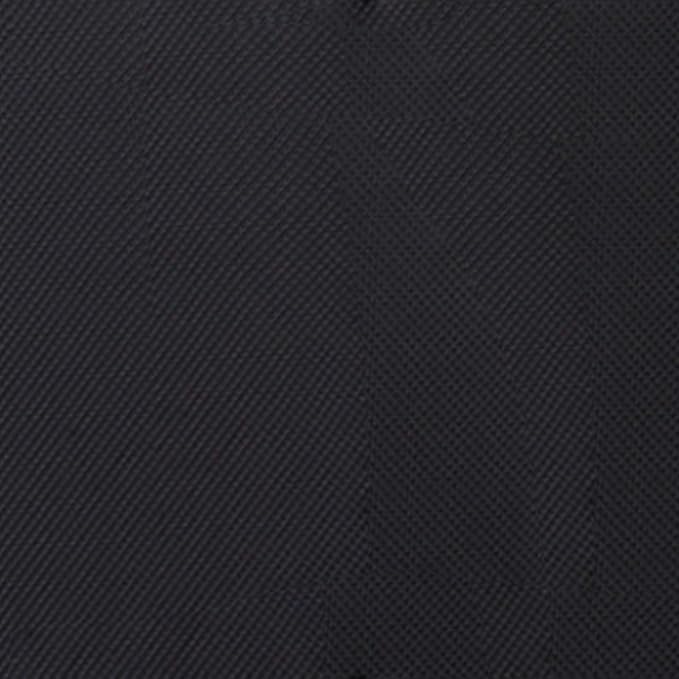 SwissGear Sion Softside Expandable Luggage, Black, 2-Piece Set (21/29)