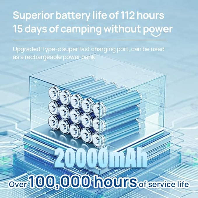 8 inch Portable Fan - Wireless Battery Operated Fan - LED Lighting - Carry Case & Remote Control - Cruise Travel - Outdoor Travel RV Power Bank With USB-C Port (Black with Case)