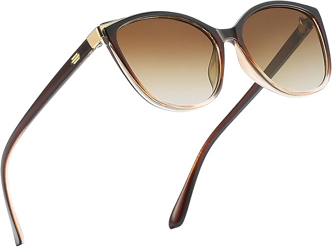Trendy Cat Eye Sunglasses for Women Fashion Cateye UV400 Protection Glasses CL22017
